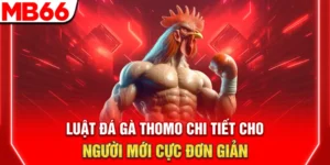 Luật Đá Gà Thomo Chi Tiết Cho Người Mới Cực Đơn Giản