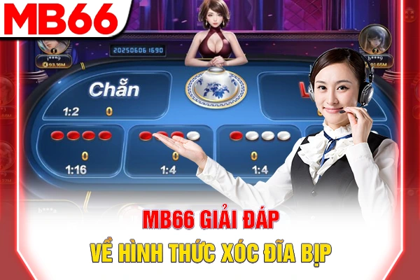 MB66 giải đáp về hình thức xóc đĩa bịp